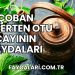 Çoban Çökerten Otu Çayının Faydaları