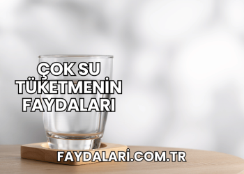 Çok Su Tüketmenin Faydaları