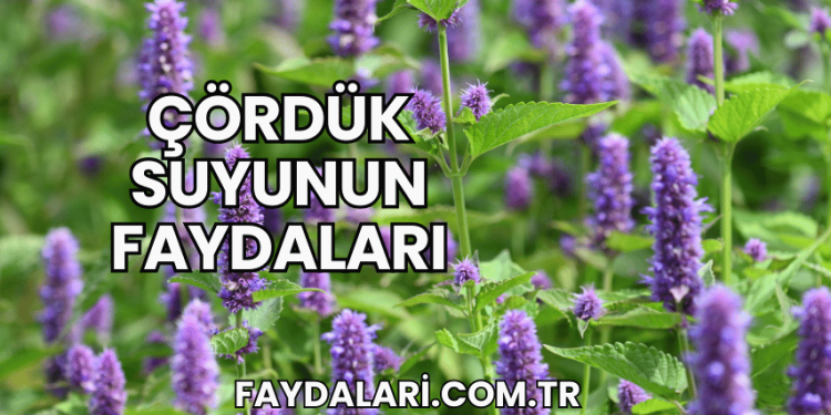 Çördük Suyunun Faydaları