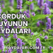 Çördük Suyunun Faydaları