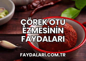 Çörek Otu Ezmesinin Faydaları