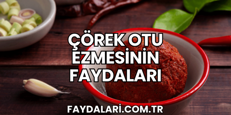 Çörek Otu Ezmesinin Faydaları