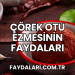 Çörek Otu Ezmesinin Faydaları