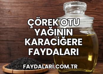 Çörek Otu Yağının Karaciğere Faydaları