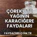 Çörek Otu Yağının Karaciğere Faydaları