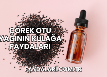 Çörek Otu Yağının Kulağa Faydaları