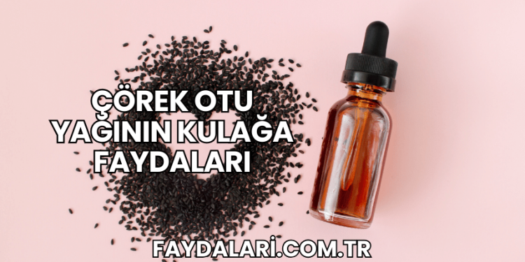 Çörek Otu Yağının Kulağa Faydaları