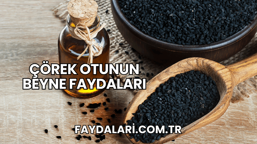 Çörek Otunun Beyne Faydaları