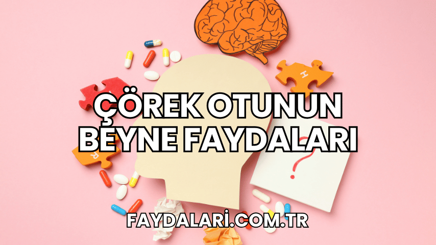 Çörek Otunun Beyne Faydaları
