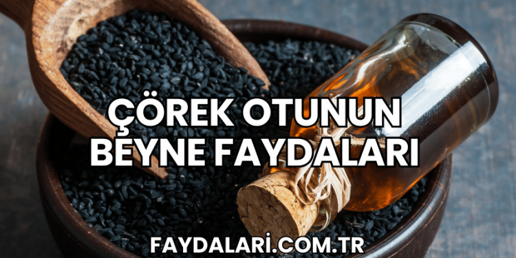 Çörek Otunun Beyne Faydaları