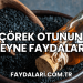 Çörek Otunun Beyne Faydaları