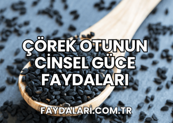 Çörek Otunun Cinsel Güce Faydaları