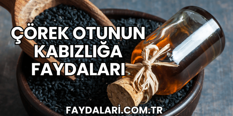 Çörek Otunun Kabızlığa Faydaları