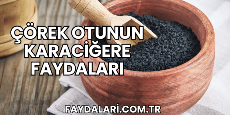 Çörek Otunun Karaciğere Faydaları