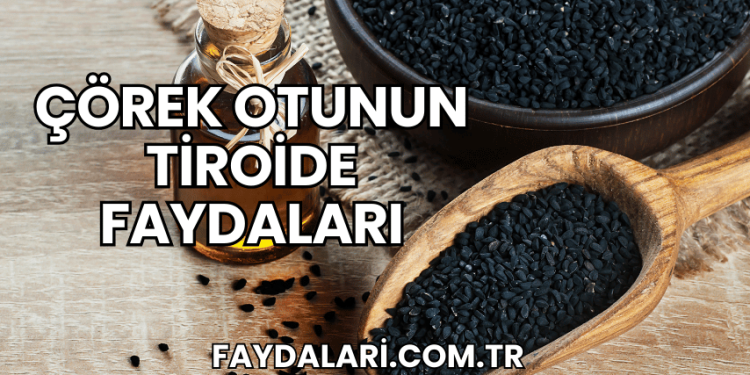 Çörek Otunun Tiroide Faydaları