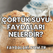Çörtük Suyu Faydaları Nelerdir?