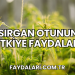 Isırgan Otunun Bitkiye Faydaları