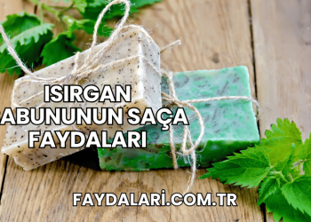 Isırgan Sabununun Saça Faydaları