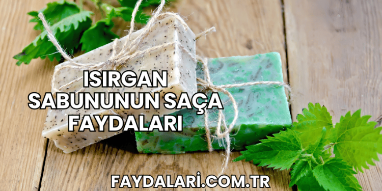 Isırgan Sabununun Saça Faydaları