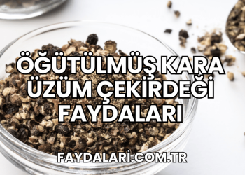 Öğütülmüş Kara Üzüm Çekirdeği Faydaları