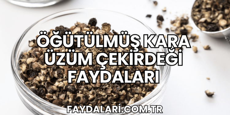 Öğütülmüş Kara Üzüm Çekirdeği Faydaları