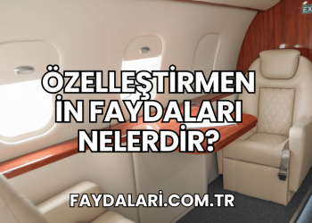 Özelleştirmenin Faydaları Nelerdir?