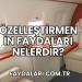 Özelleştirmenin Faydaları Nelerdir?