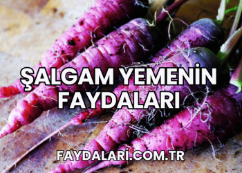Şalgam Yemenin Faydaları