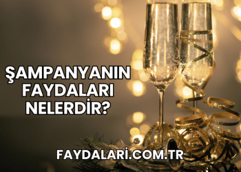 Şampanyanın Faydaları Nelerdir?