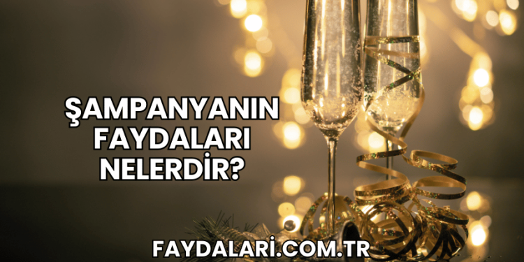 Şampanyanın Faydaları Nelerdir?
