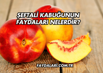 Şeftali Kabuğunun Faydaları Nelerdir?