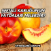 Şeftali Kabuğunun Faydaları Nelerdir?