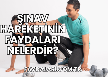 Şınav Hareketinin Faydaları Nelerdir?