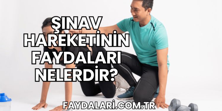 Şınav Hareketinin Faydaları Nelerdir?