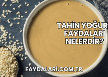 Tahin Yoğurt Faydaları Nelerdir?