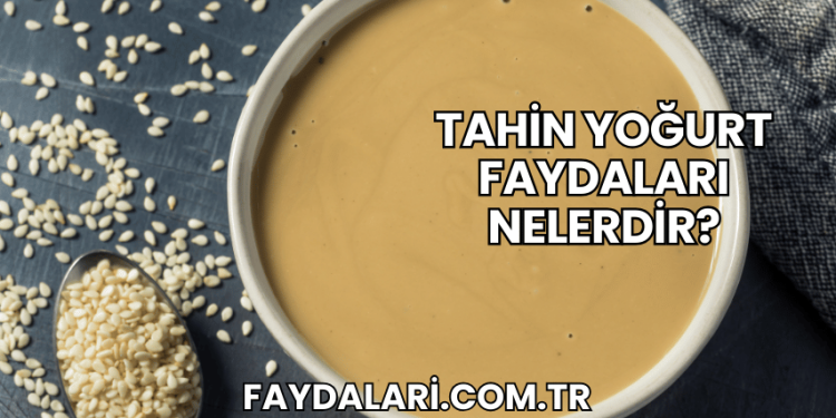 Tahin Yoğurt Faydaları Nelerdir?