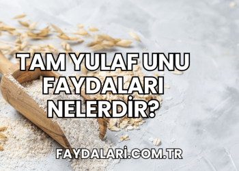 Tam Yulaf Unu Faydaları Nelerdir?