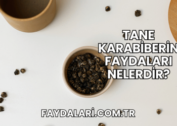 Tane Karabiberin Faydaları Nelerdir?
