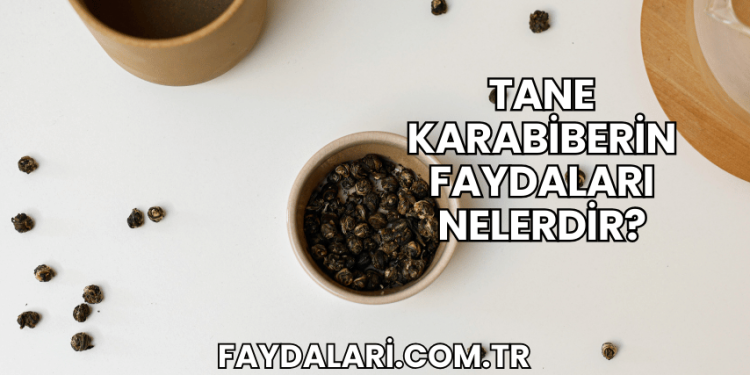 Tane Karabiberin Faydaları Nelerdir?