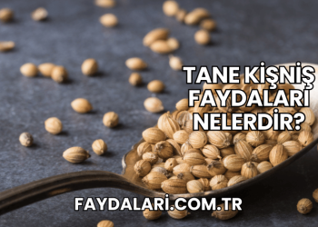 Tane Kişniş Faydaları Nelerdir?