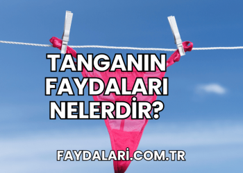 Tanganın Faydaları Nelerdir?