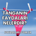 Tanganın Faydaları Nelerdir?