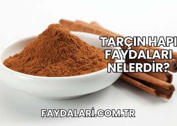 Tarçın Hapı Faydaları Nelerdir?