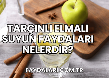 Tarçınlı Elmalı Suyun Faydaları Nelerdir?