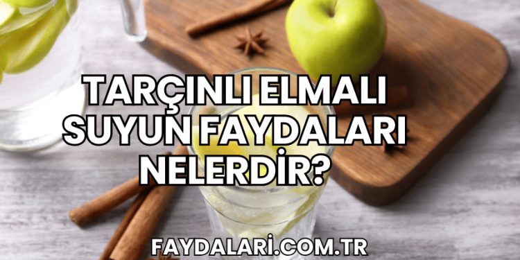 Tarçınlı Elmalı Suyun Faydaları Nelerdir?