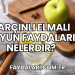 Tarçınlı Elmalı Suyun Faydaları Nelerdir?