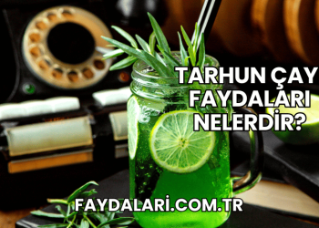 Tarhun Çayı Faydaları Nelerdir?