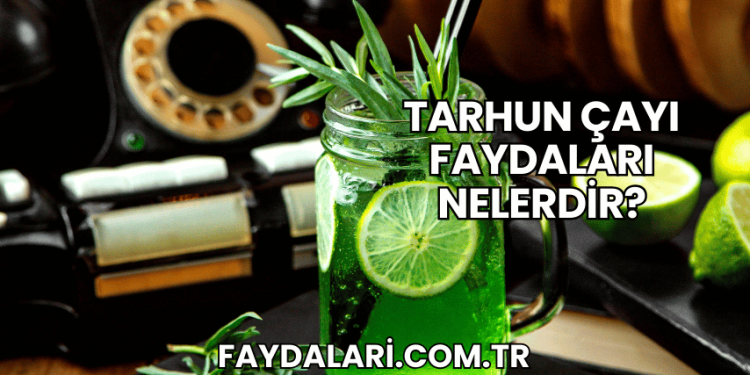 Tarhun Çayı Faydaları Nelerdir?