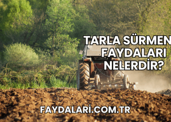 Tarla Sürmenin Faydaları Nelerdir?
