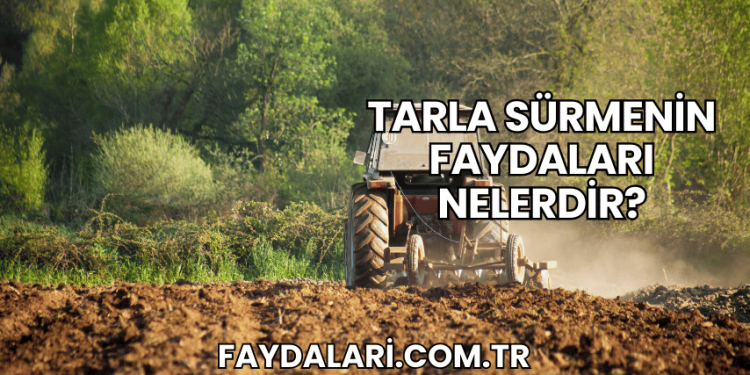Tarla Sürmenin Faydaları Nelerdir?